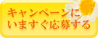 キャンぺーンにいますぐ応募！！