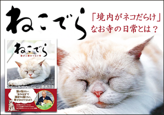 「境内がネコだらけ」なお寺の日常とは？